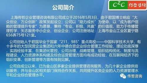 傳哲咨詢服務(wù)企業(yè)項目2018版 精準(zhǔn)策劃，驅(qū)動未來
