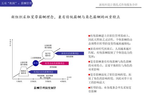 新組織設(shè)計教練式咨詢服務(wù)介紹 賦能組織轉(zhuǎn)型與重塑